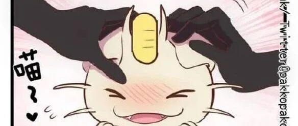 有谁不想要一只喵喵呢？【囧图时刻】