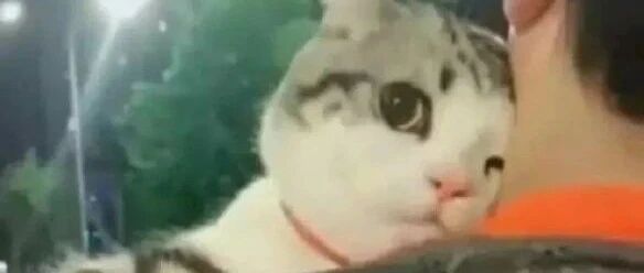 你老公叫我小可爱，还说你是黄脸婆【囧图时刻】