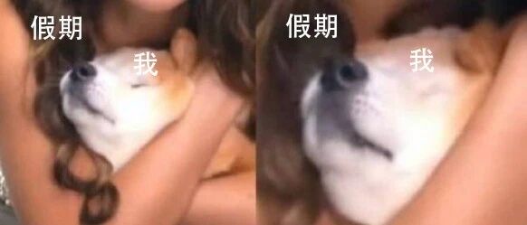 被假期紧紧拥抱的感觉真好！【囧图时刻】