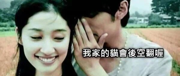 妹子答应来我家看猫咪后空翻，我家没猫咪怎么咋办？【囧】