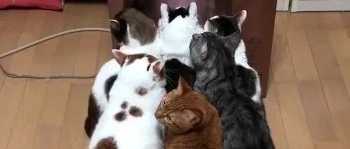 家庭弟位一目了然【囧图时刻】