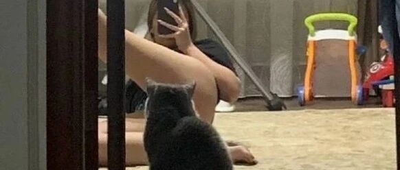 看懂这图的一定是个LSP，猫咪你挡住我拍照啦【囧】