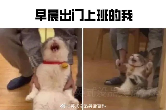 据说这个证老奶奶花了5000元买的【囧图时刻】