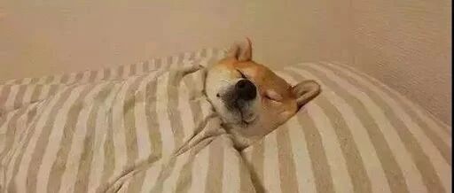 连自己都睡不好，还怎么去睡别人？【囧图时刻】