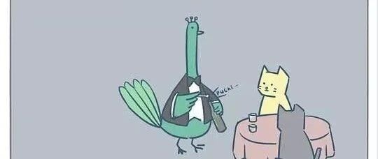 今天给大家表演个“孔雀开屏”【囧图时刻】