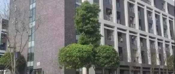 教学楼旁的牛子树 陪伴了我的青春[囧图时刻]
