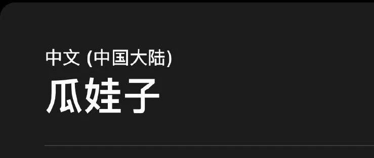 苹果ios14的翻译，太牛逼了！