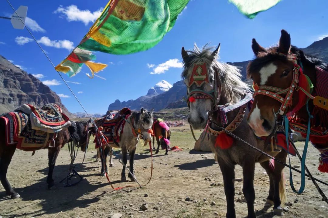 在岡仁波齊，千萬不要抽煙！ 旅遊 第7張