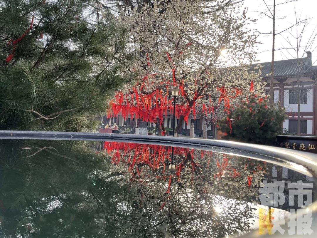 西安再上全国热度榜!这次竟和它有关!-微信头条网 西安再上全国热度榜!这次竟和它有关!