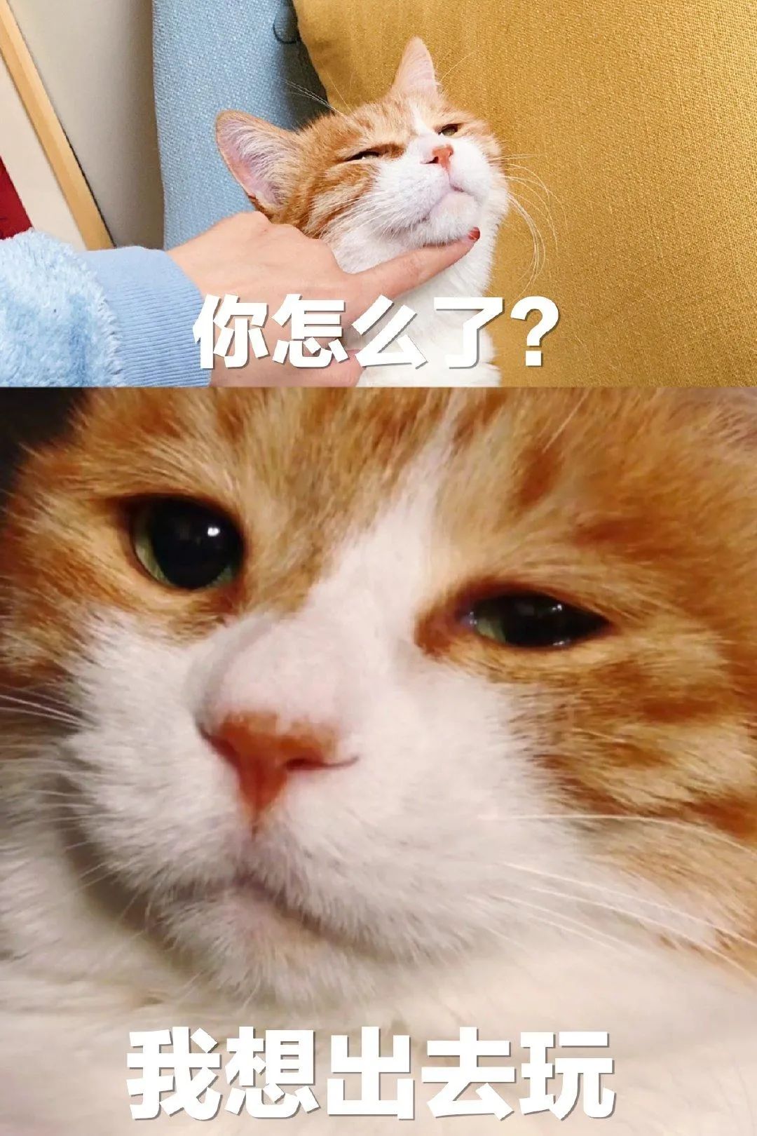 西安再上全国热度榜!这次竟和它有关!-微信头条网 西安再上全国热度榜!这次竟和它有关!