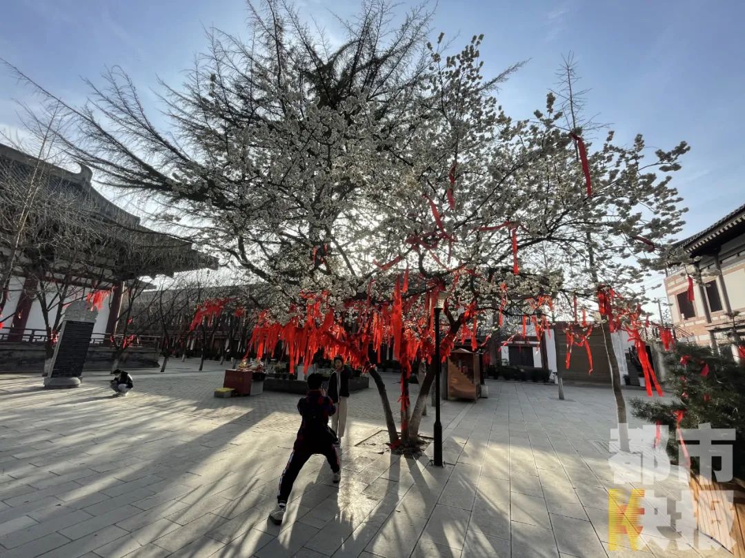西安再上全国热度榜!这次竟和它有关!-微信头条网 西安再上全国热度榜!这次竟和它有关!
