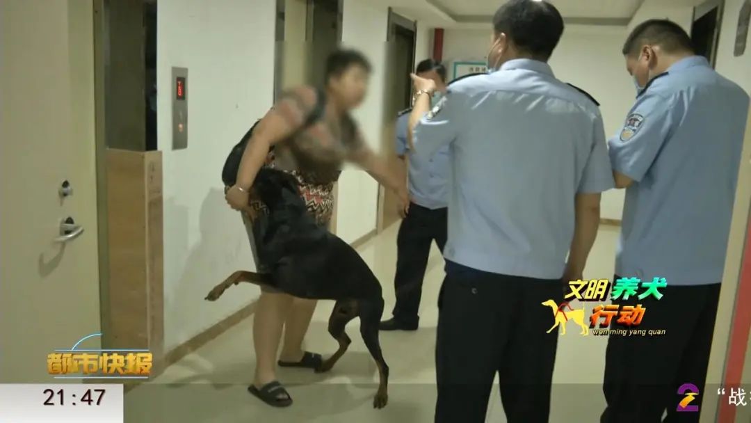 西安女子家中養烈性犬 狗主人：我養的是貓？！家有大型犬、烈性犬注意 這事快做 寵物 第11張