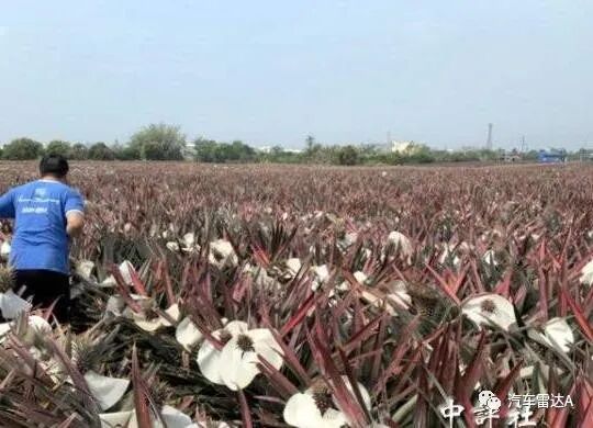 包裹从香港清关要多久_香港清关到大陆要几天_香港清关到大陆费用