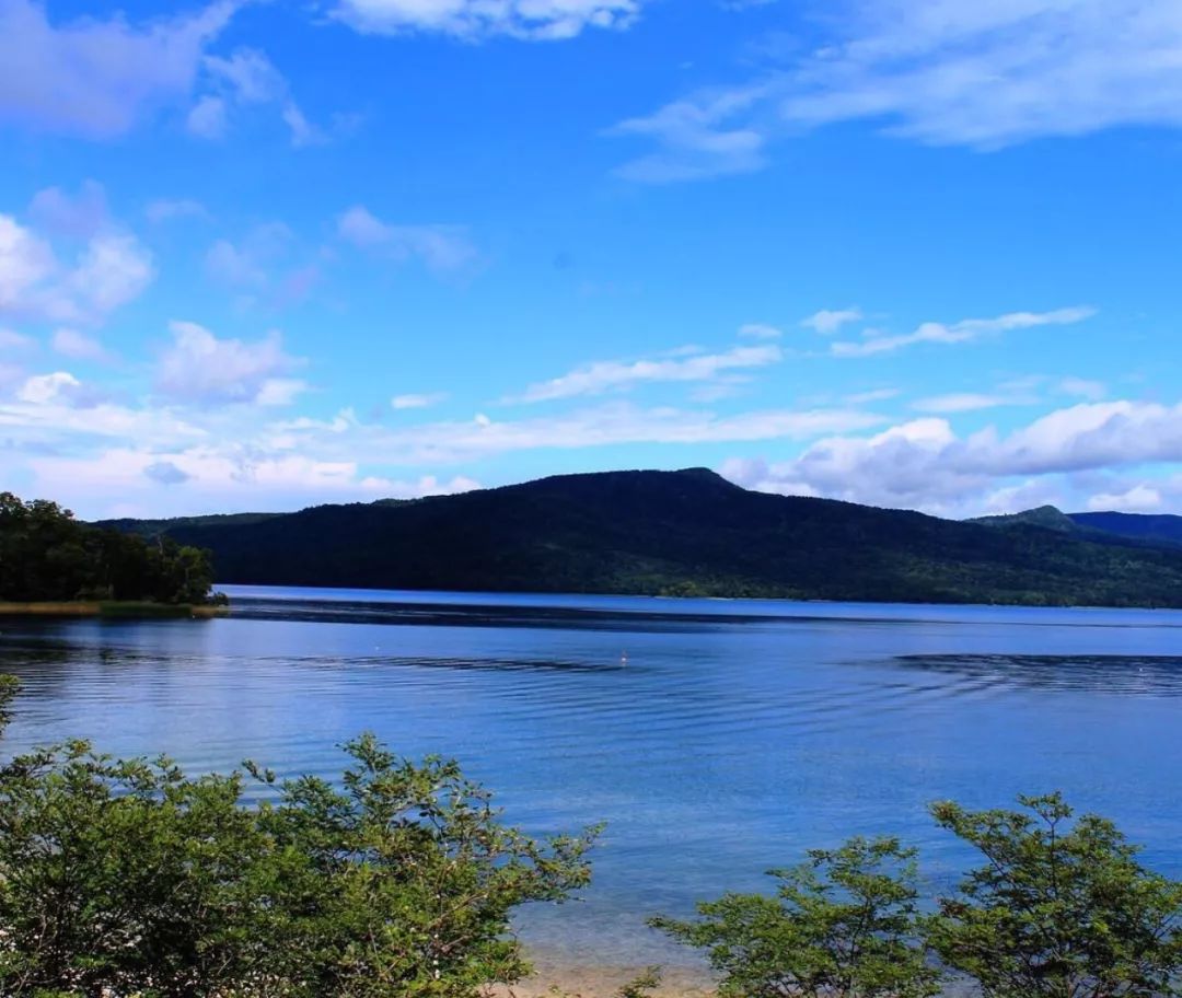 北海道 阿寒湖 非诚勿扰 辽宁近藤旅游信息咨询有限公司 微信公众号文章阅读 Wemp