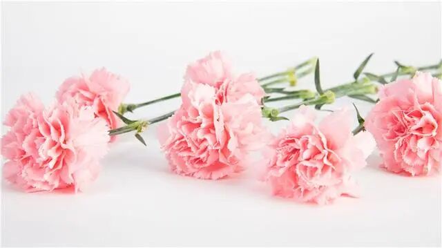 如何平衡职业发展和家庭生活