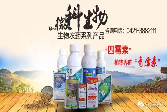 com 辽宁微科生物工程股份有限公司: 14588921@qq.