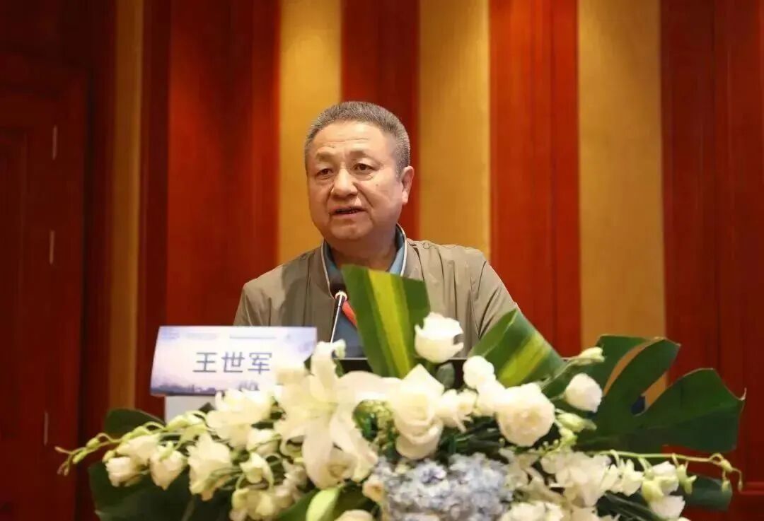 首都医科大学附属北京宣武医院王世军教授讲解肠瘘及尿瘘王世军教授通过