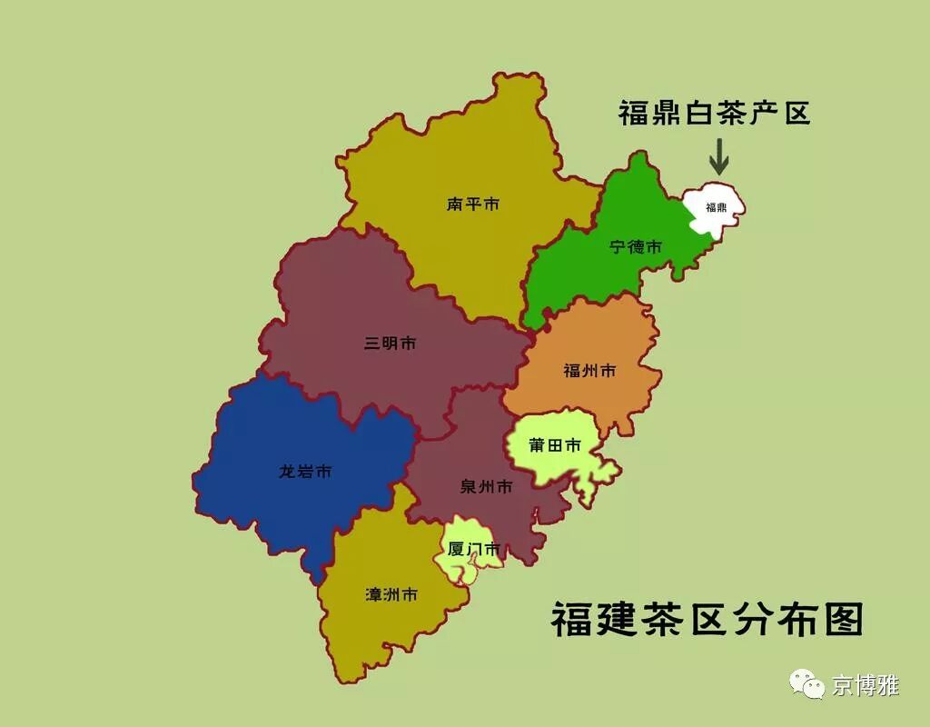 福鼎白茶的四大产区，成全你爱的那一口