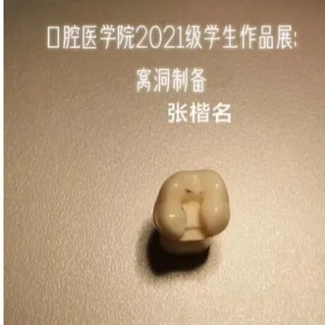 山东力明科技职业学院