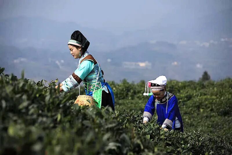 �հ��أ�����һ��æ���� ����ȷ�������ź족