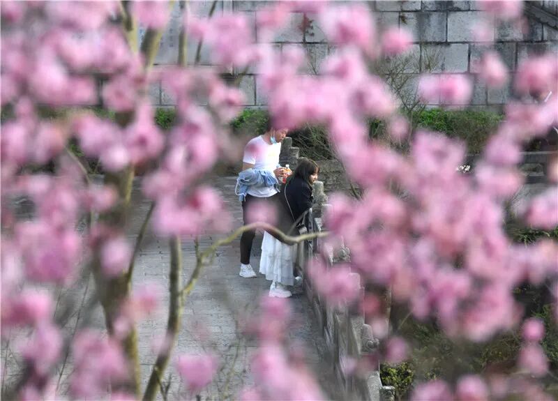 Լ���������˴�������������ݴ��䡰ӣ���ͷ�