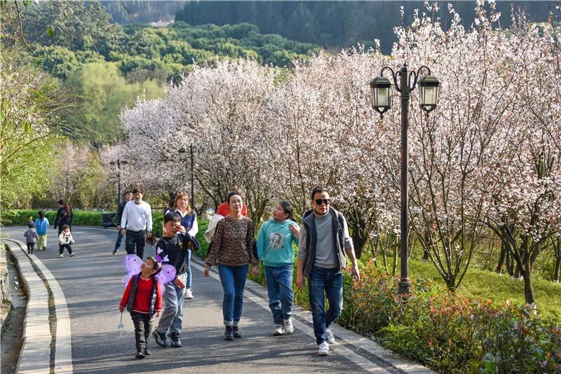 Լ���������˴�������������ݴ��䡰ӣ���ͷ�