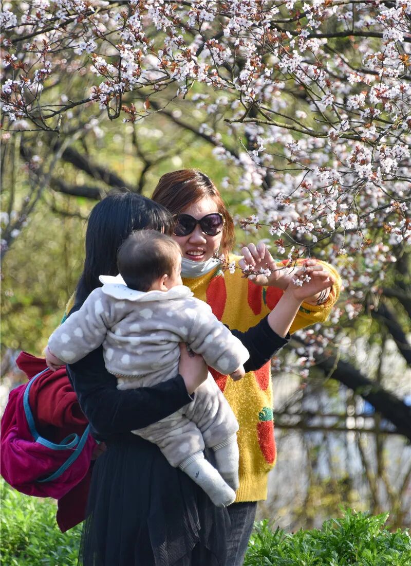 Լ���������˴�������������ݴ��䡰ӣ���ͷ�