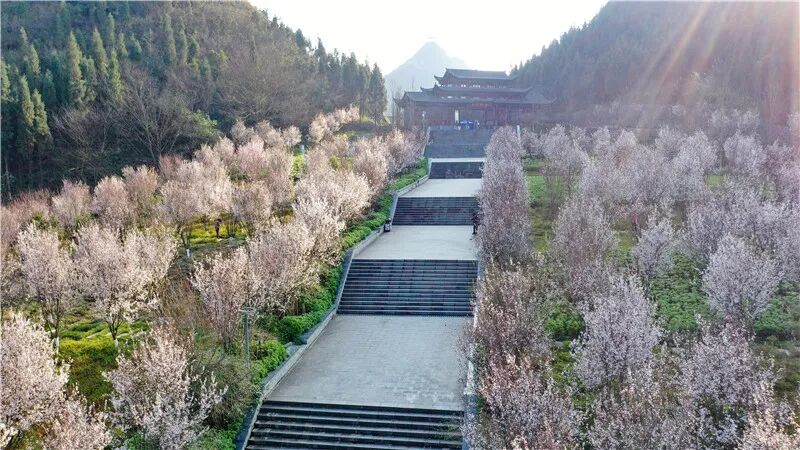 Լ���������˴�������������ݴ��䡰ӣ���ͷ�