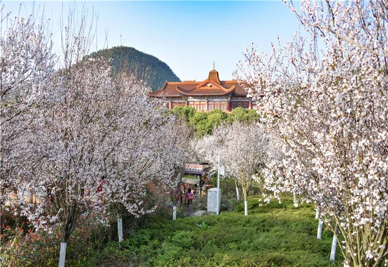 Լ���������˴�������������ݴ��䡰ӣ���ͷ�