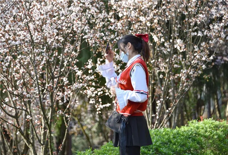 Լ���������˴�������������ݴ��䡰ӣ���ͷ�