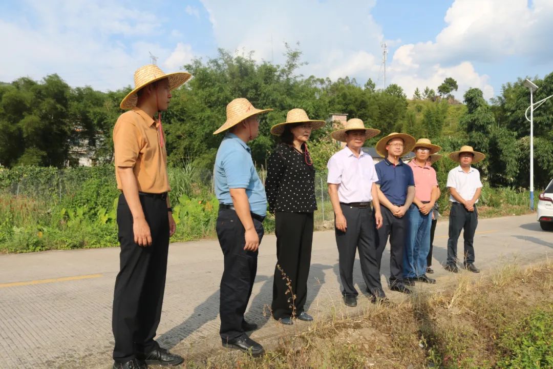 縣委書記鄧菲到七拱鎮督導糧食生產工作-陽山縣政府門戶網站