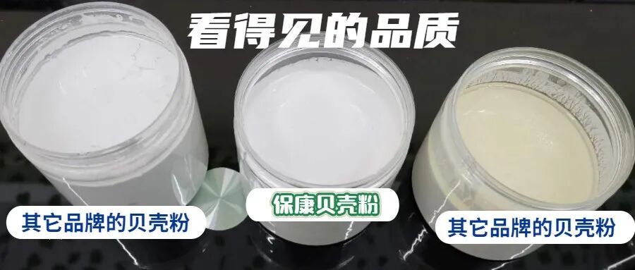 贝壳粉涂料开盖效果