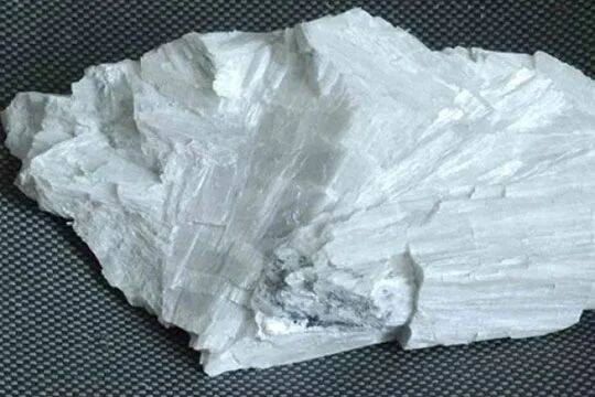 图片包含 桌子, 室内, 纸, 食物 AI 生成的内容可能不正确。