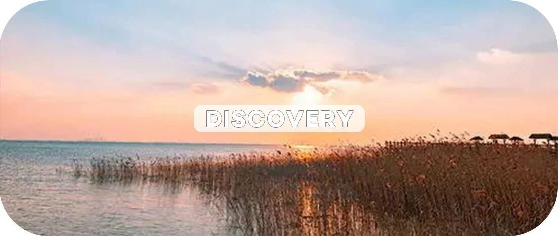 李佳琦落户崇明！这座宝藏小岛藏不住了！