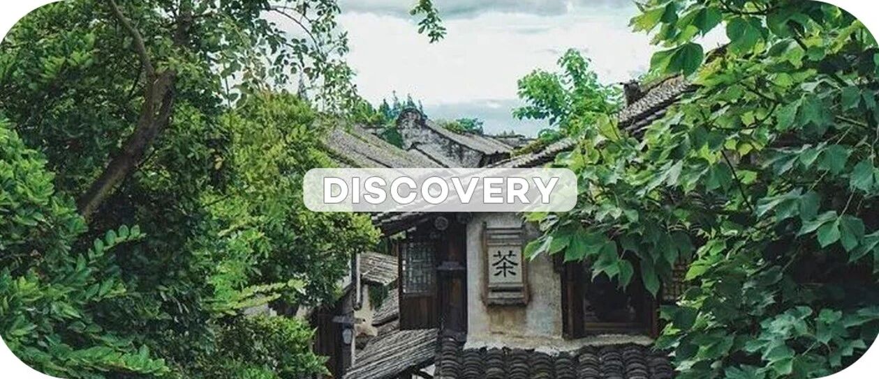 上海出发42分钟直达！江南这座小城，值得重新认识一次！