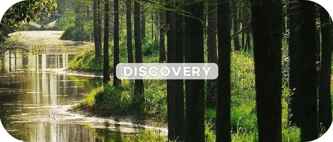 上海8大秋游好去处！秋季限定游玩攻略！