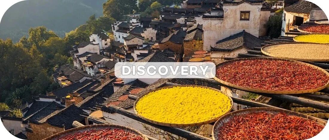 上海2+h直达！这个“中国最美乡村”的绝佳观赏季就是现在！