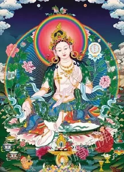 【每天听一遍】二十一度母心赞