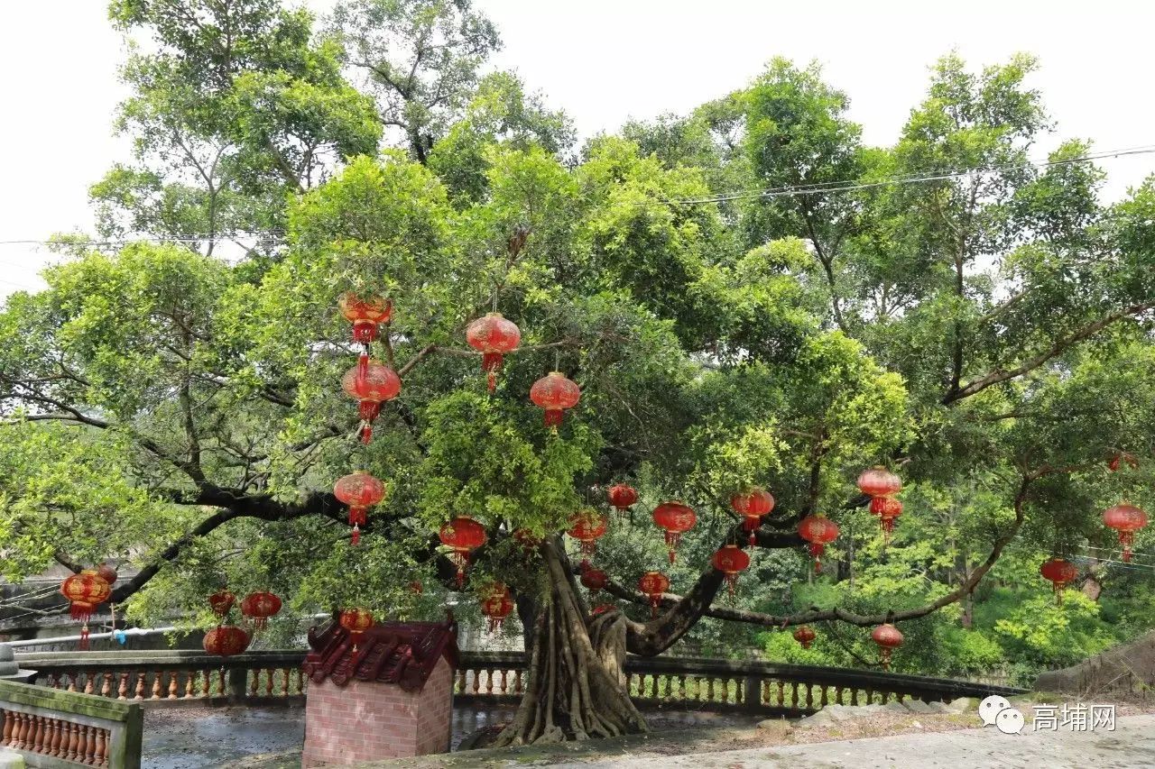 航拍视频高埔镇美丽下营村一幅美丽的画卷