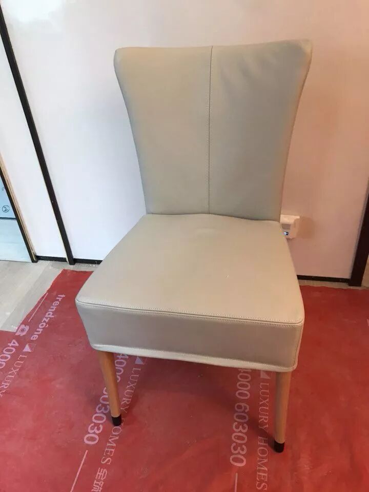 Living room modern style lounge chair