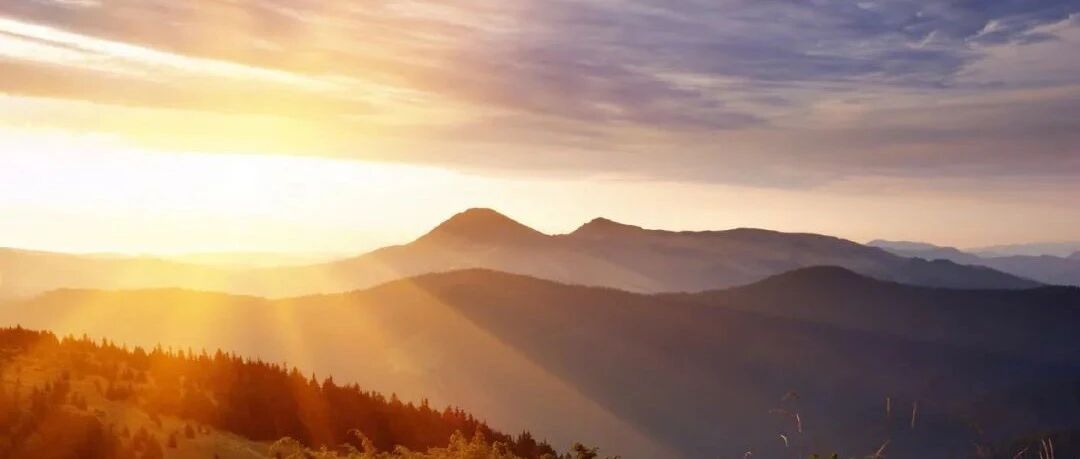 投资宝典：核心财务指标揭示线上线下零售药店发展情况