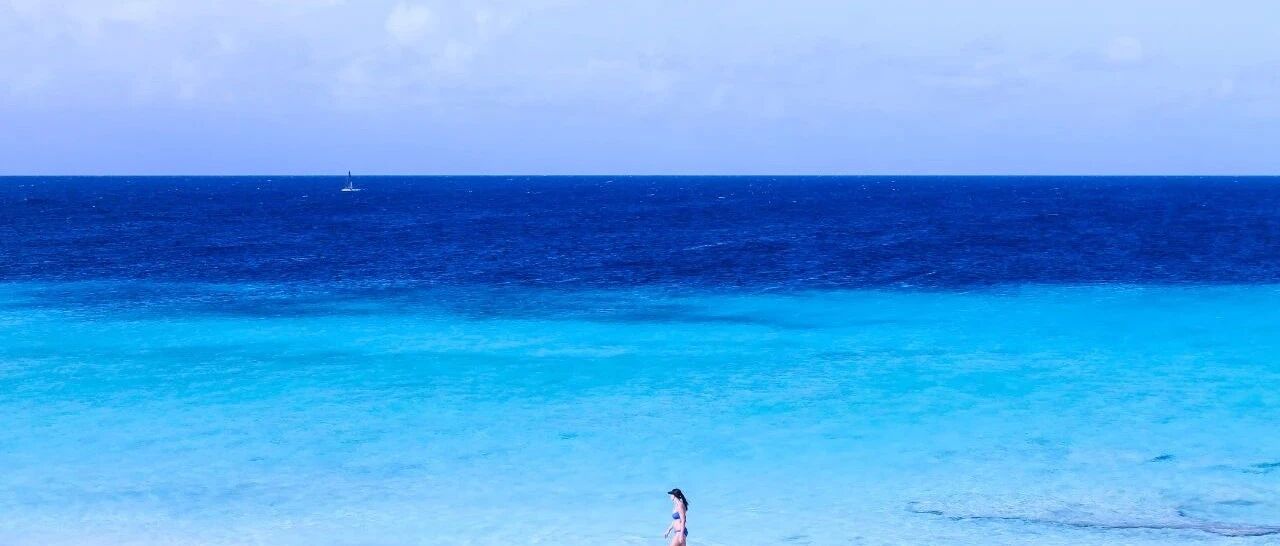 百花齐放的PD-(L)1联合疗法，红海中的一片蓝海