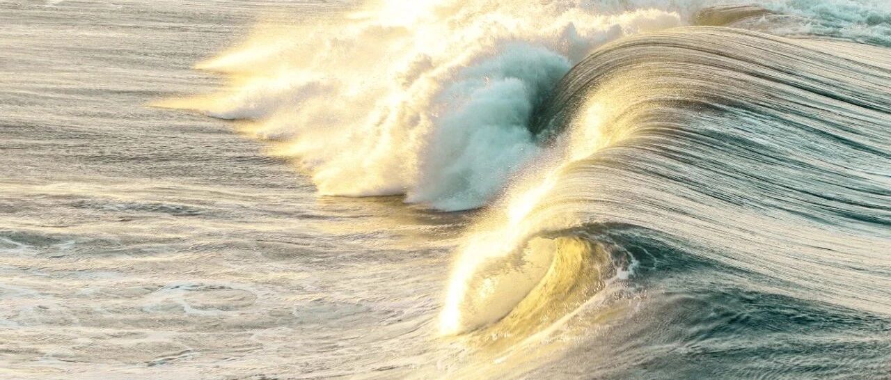 今日健之佳敲钟上市：引领零售药店最后一波上市潮？