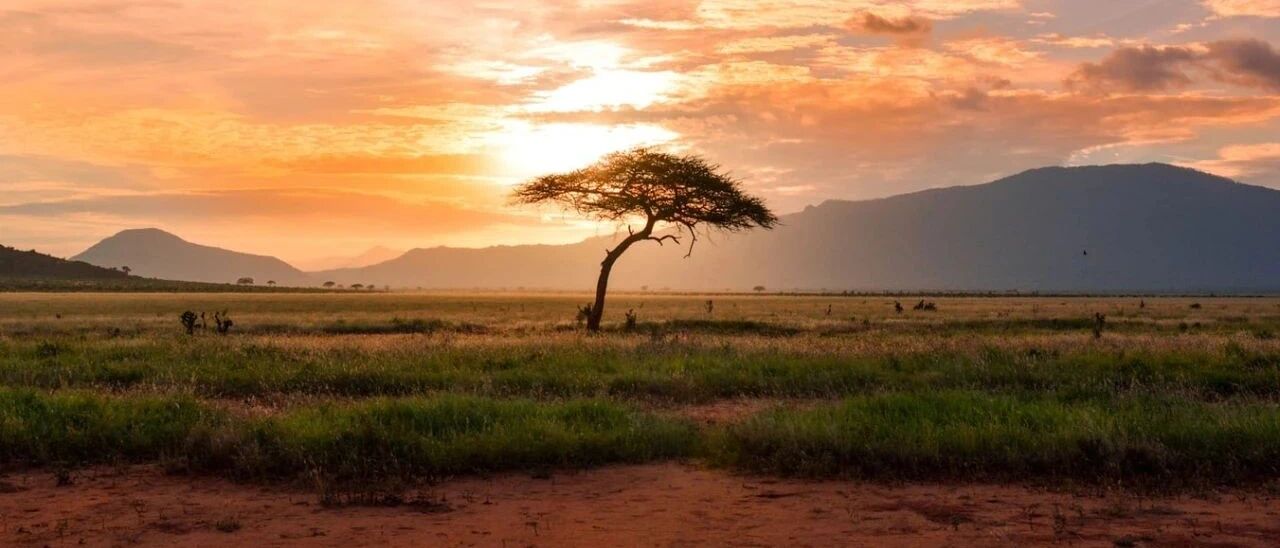 罕见病药物商业化：高度未被满足的医疗需求并非成功的保证