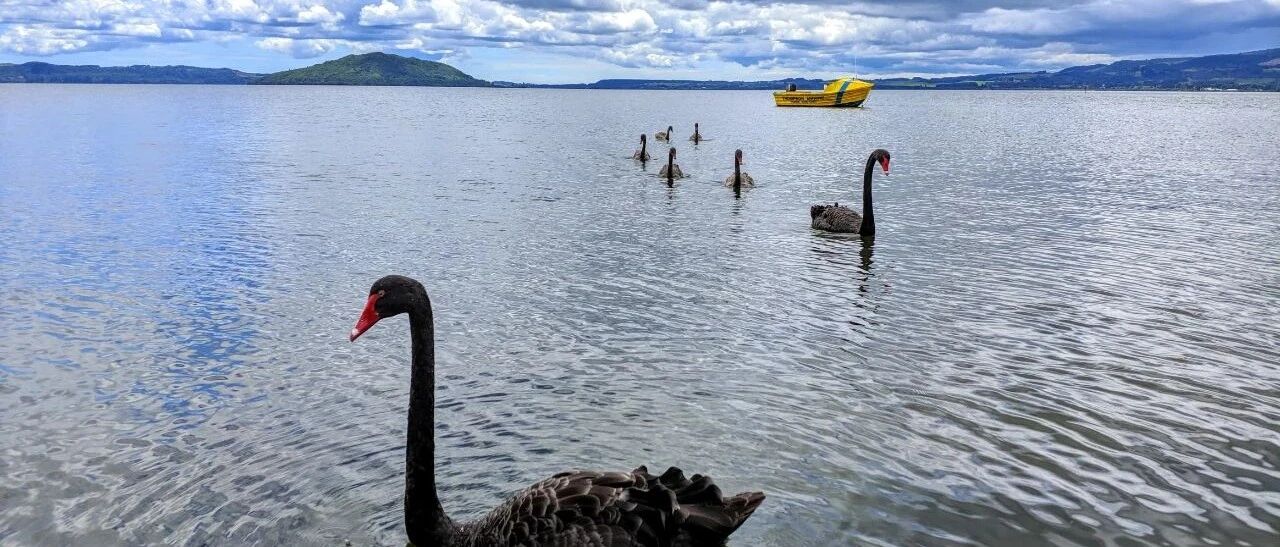 特朗普以身试药，再生元中和抗体前景如何