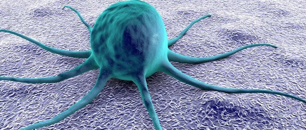 头部企业获得孤儿药认定为何股价却下跌？