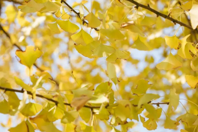 近两年以稳为主！后几年开始转运的男命！