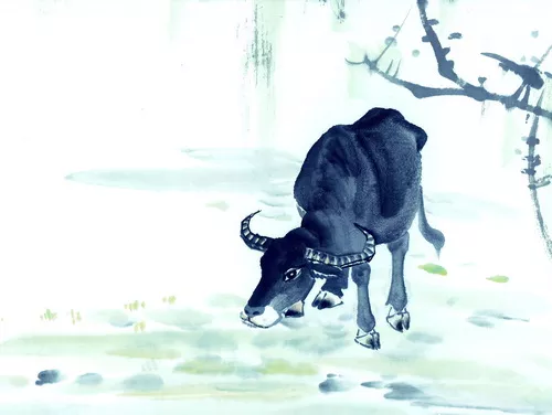 2020年十二生肖牛女命运势解析! 2020年十二生肖牛女命运势解析!