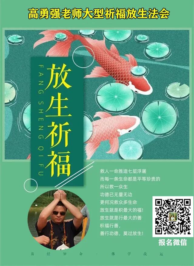 放生的功德和福报巨大，但不可胡乱放生！