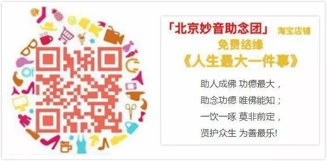 怀孕吃素相关开示